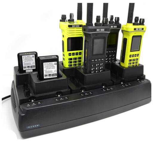 BKR0300-6 6 Bay BKR Charger